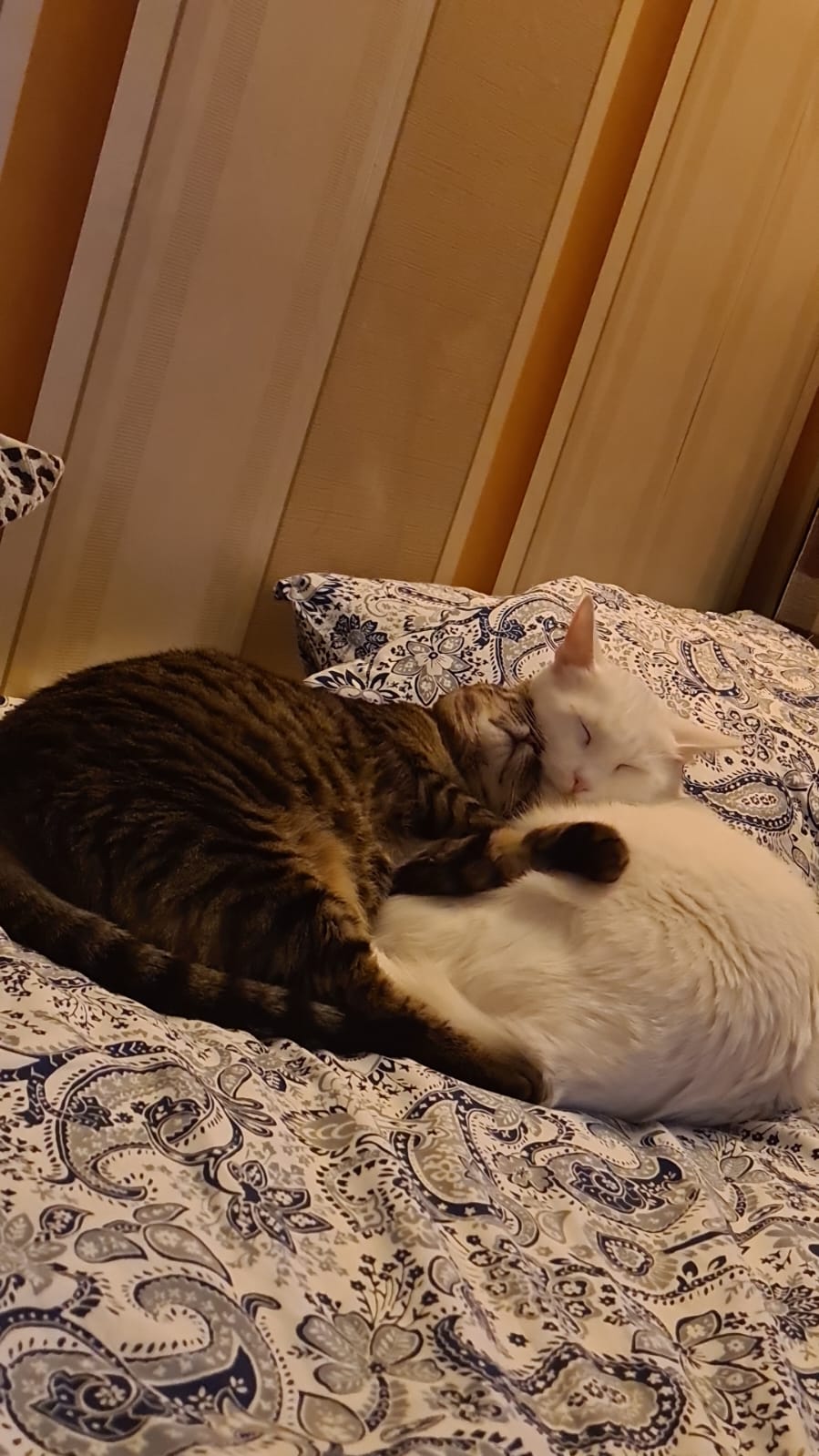 O poză cu mine zâmbind